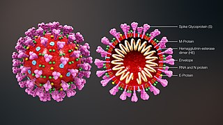 Lire la suite à propos de l’article Coronavirus / Covid-19 ** mise à jour le 6 avril
